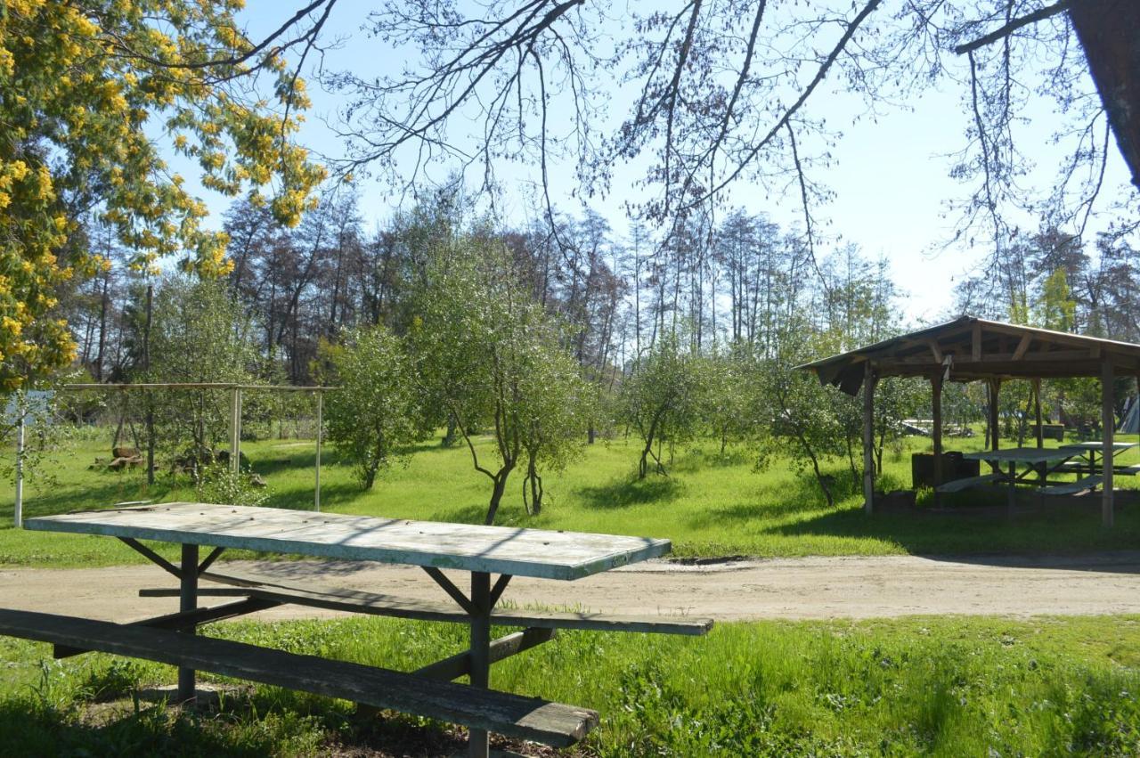 Coyunche Cabanas Y Camping Laja & San Rosendo Exteriör bild